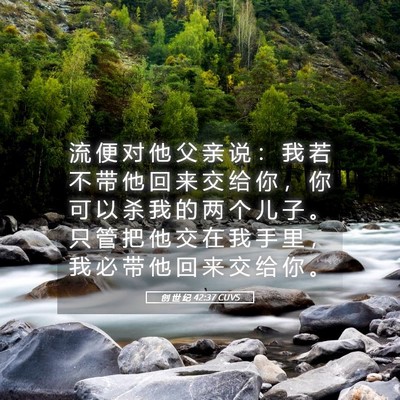 Picture 05 - 创 世 纪 42:37 CUVS - 流 便 对 他 父 亲 说 ： 我 若 不 带 - Bible Verse Picture