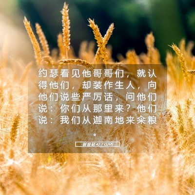Picture 05 - 创 世 纪 42:7 CUVS - 约 瑟 看 见 他 哥 哥 们 ， 就 认 得 - Bible Verse Picture