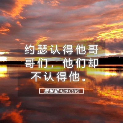 Picture 05 - 创 世 纪 42:8 CUVS - 约 瑟 认 得 他 哥 哥 们 ， 他 们 却 - Bible Verse Picture