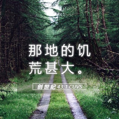 Picture 05 - 创 世 纪 43:1 CUVS - 那 地 的 饥 荒 甚 大 - Bible Verse Picture