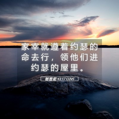 Picture 05 - 创 世 纪 43:17 CUVS - 家 宰 就 遵 着 约 瑟 的 命 去 行 ， - Bible Verse Picture