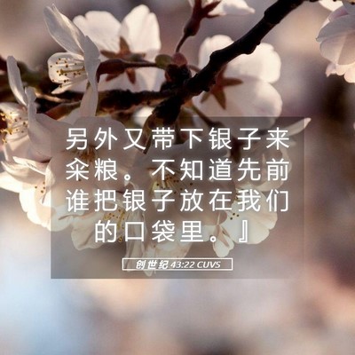 Picture 05 - 创 世 纪 43:22 CUVS - 另 外 又 带 下 银 子 来 籴 粮 。 不 - Bible Verse Picture