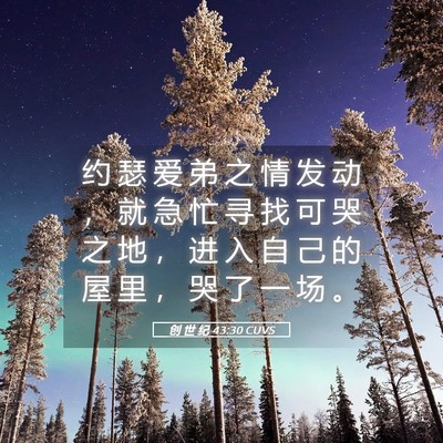 Picture 05 - 创 世 纪 43:30 CUVS - 约 瑟 爱 弟 之 情 发 动 ， 就 急 忙 - Bible Verse Picture