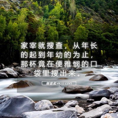 Picture 05 - 创 世 纪 44:12 CUVS - 家 宰 就 搜 查 ， 从 年 长 的 起 到 - Bible Verse Picture