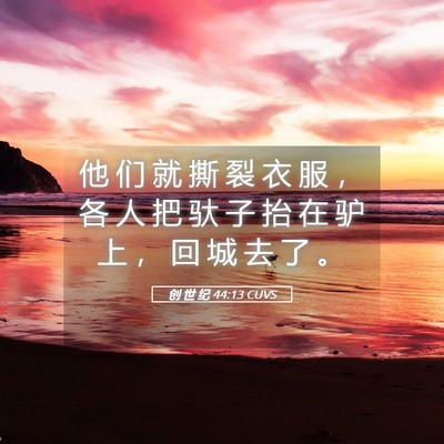 Picture 05 - 创 世 纪 44:13 CUVS - 他 们 就 撕 裂 衣 服 ， 各 人 把 驮 - Bible Verse Picture