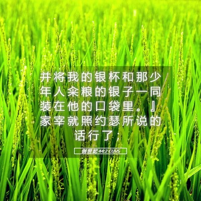Picture 05 - 创 世 纪 44:2 CUVS - 并 将 我 的 银 杯 和 那 少 年 人 籴 - Bible Verse Picture