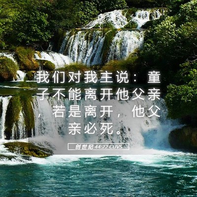 Picture 05 - 创 世 纪 44:22 CUVS - 我 们 对 我 主 说 ： 童 子 不 能 离 - Bible Verse Picture