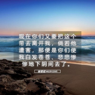 Picture 05 - 创 世 纪 44:29 CUVS - 现 在 你 们 又 要 把 这 个 带 去 离 - Bible Verse Picture