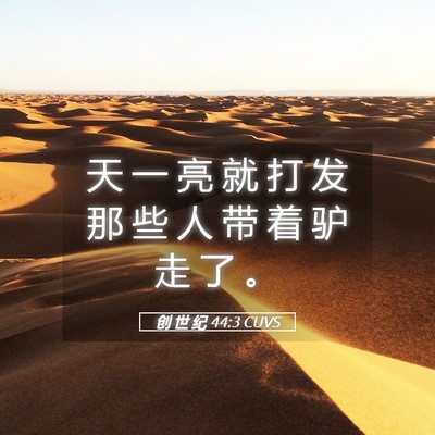 Picture 05 - 创 世 纪 44:3 CUVS - 天 一 亮 就 打 发 那 些 人 带 着 驴 - Bible Verse Picture