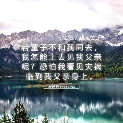 Picture 05 - 创 世 纪 44:34 CUVS - 若 童 子 不 和 我 同 去 ， 我 怎 能 - Bible Verse Picture