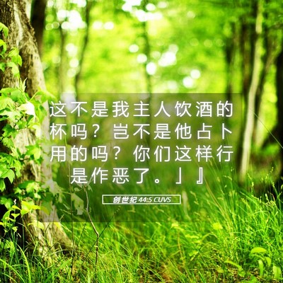 Picture 05 - 创 世 纪 44:5 CUVS - 这 不 是 我 主 人 饮 酒 的 杯 吗 ？ - Bible Verse Picture
