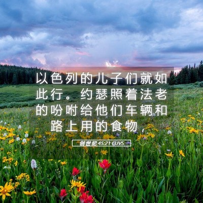 Picture 05 - 创 世 纪 45:21 CUVS - 以 色 列 的 儿 子 们 就 如 此 行 。 - Bible Verse Picture