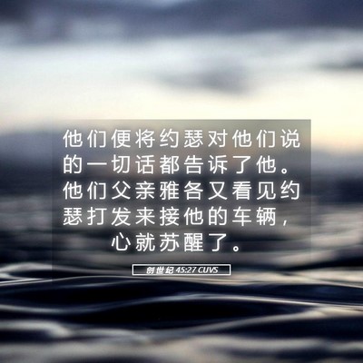 Picture 05 - 创 世 纪 45:27 CUVS - 他 们 便 将 约 瑟 对 他 们 说 的 一 - Bible Verse Picture