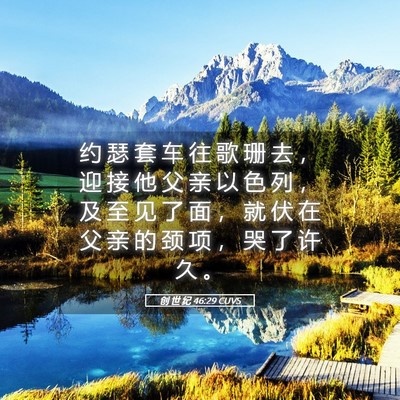 Picture 05 - 创 世 纪 46:29 CUVS - 约 瑟 套 车 往 歌 珊 去 ， 迎 接 他 - Bible Verse Picture