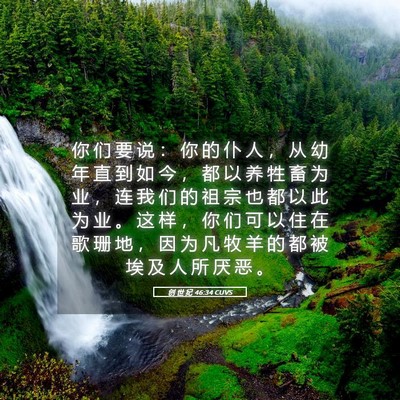 Picture 05 - 创 世 纪 46:34 CUVS - 你 们 要 说 ： 你 的 仆 人 ， 从 幼 - Bible Verse Picture