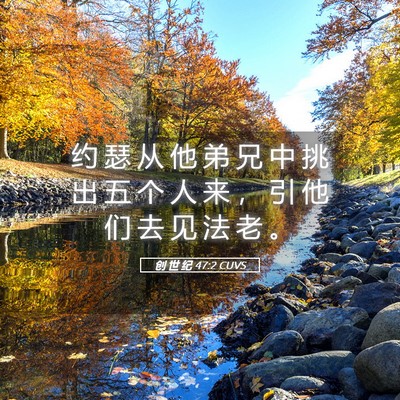 Picture 05 - 创 世 纪 47:2 CUVS - 约 瑟 从 他 弟 兄 中 挑 出 五 个 人 - Bible Verse Picture