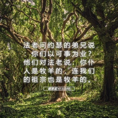 Picture 05 - 创 世 纪 47:3 CUVS - 法 老 问 约 瑟 的 弟 兄 说 ： 你 们 - Bible Verse Picture