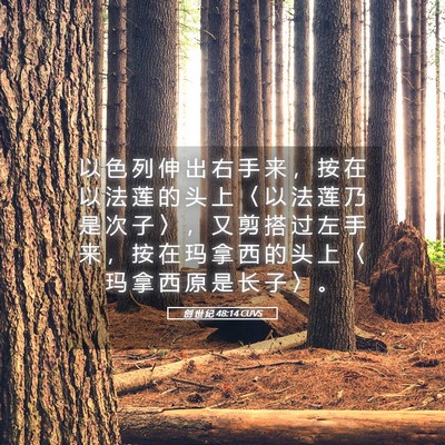 Picture 05 - 创 世 纪 48:14 CUVS - 以 色 列 伸 出 右 手 来 ， 按 在 以 - Bible Verse Picture