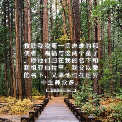 Picture 05 - 创 世 纪 48:16 CUVS - 救 赎 我 脱 离 一 切 患 难 的 那 使 - Bible Verse Picture