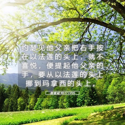 Picture 05 - 创 世 纪 48:17 CUVS - 约 瑟 见 他 父 亲 把 右 手 按 在 以 - Bible Verse Picture