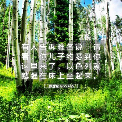 Picture 05 - 创 世 纪 48:2 CUVS - 有 人 告 诉 雅 各 说 ： 请 看 ， 你 - Bible Verse Picture