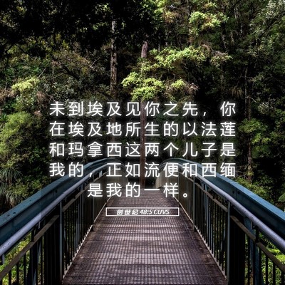 Picture 05 - 创 世 纪 48:5 CUVS - 未 到 埃 及 见 你 之 先 ， 你 在 埃 - Bible Verse Picture
