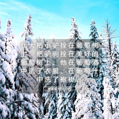 Picture 05 - 创 世 纪 49:11 CUVS - 犹 大 把 小 驴 拴 在 葡 萄 树 上 ， - Bible Verse Picture