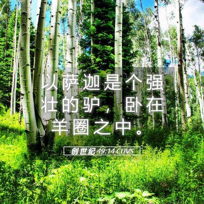 Picture 05 - 创 世 纪 49:14 CUVS - 以 萨 迦 是 个 强 壮 的 驴 ， 卧 在 - Bible Verse Picture