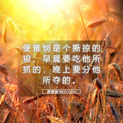 Picture 05 - 创 世 纪 49:27 CUVS - 便 雅 悯 是 个 撕 掠 的 狼 ， 早 晨 - Bible Verse Picture