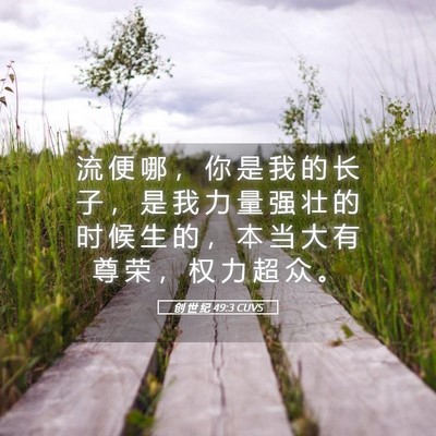 Picture 05 - 创 世 纪 49:3 CUVS - 流 便 哪 ， 你 是 我 的 长 子 ， 是 - Bible Verse Picture