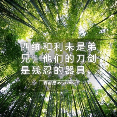 Picture 05 - 创 世 纪 49:5 CUVS - 西 缅 和 利 未 是 弟 兄 ； 他 们 的 - Bible Verse Picture