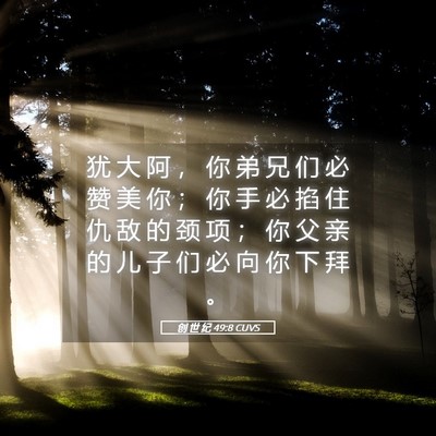 Picture 05 - 创 世 纪 49:8 CUVS - 犹 大 阿 ， 你 弟 兄 们 必 赞 美 你 - Bible Verse Picture