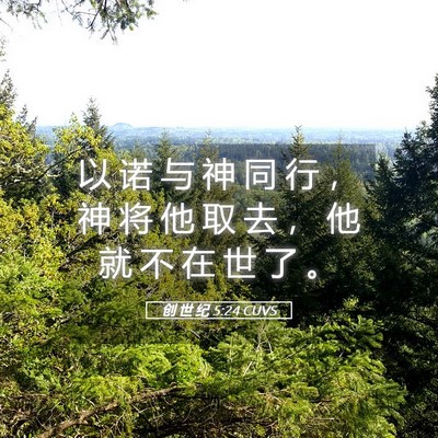 Picture 05 - 创 世 纪 5:24 CUVS - 以 诺 与 神 同 行 ， 神 将 他 取 去 - Bible Verse Picture