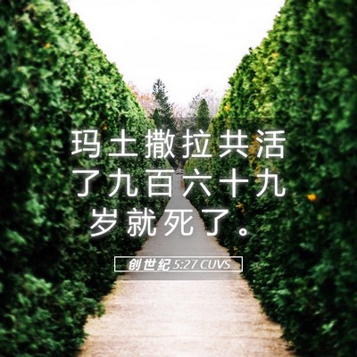 Picture 05 - 创 世 纪 5:27 CUVS - 玛 土 撒 拉 共 活 了 九 百 六 十 九 - Bible Verse Picture