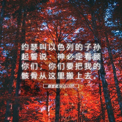 Picture 05 - 创 世 纪 50:25 CUVS - 约 瑟 叫 以 色 列 的 子 孙 起 誓 说 - Bible Verse Picture