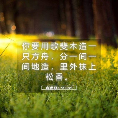 Picture 05 - 创 世 纪 6:14 CUVS - 你 要 用 歌 斐 木 造 一 只 方 舟 ， - Bible Verse Picture