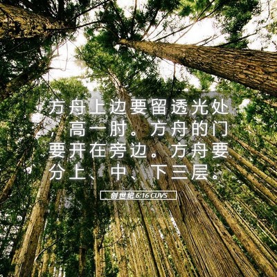 Picture 05 - 创 世 纪 6:16 CUVS - 方 舟 上 边 要 留 透 光 处 ， 高 一 - Bible Verse Picture