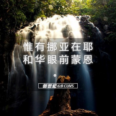 Picture 05 - 创 世 纪 6:8 CUVS - 惟 有 挪 亚 在 耶 和 华 眼 前 蒙 恩 - Bible Verse Picture