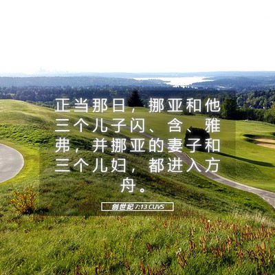 Picture 05 - 创 世 纪 7:13 CUVS - 正 当 那 日 ， 挪 亚 和 他 三 个 儿 - Bible Verse Picture