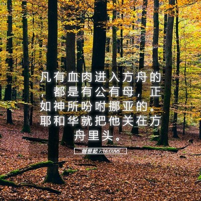 Picture 05 - 创 世 纪 7:16 CUVS - 凡 有 血 肉 进 入 方 舟 的 ， 都 是 - Bible Verse Picture