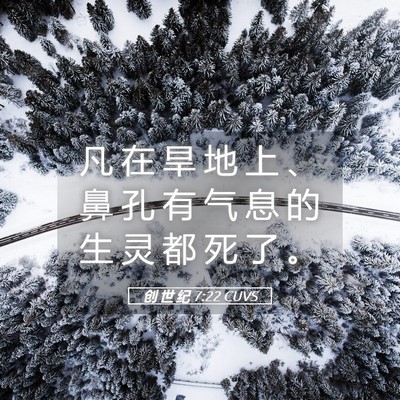 Picture 05 - 创 世 纪 7:22 CUVS - 凡 在 旱 地 上 、 鼻 孔 有 气 息 的 - Bible Verse Picture