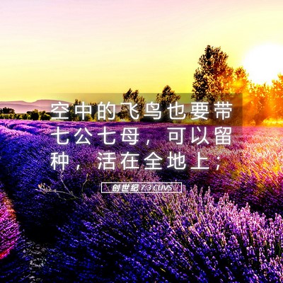 Picture 05 - 创 世 纪 7:3 CUVS - 空 中 的 飞 鸟 也 要 带 七 公 七 母 - Bible Verse Picture