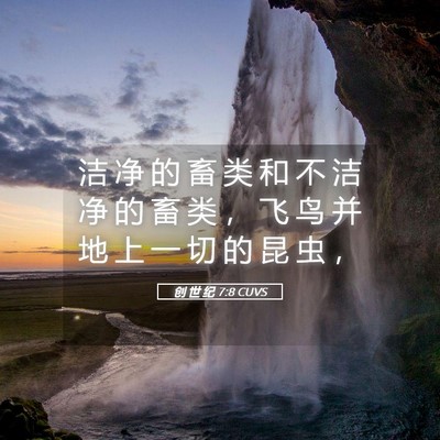Picture 05 - 创 世 纪 7:8 CUVS - 洁 净 的 畜 类 和 不 洁 净 的 畜 类 - Bible Verse Picture