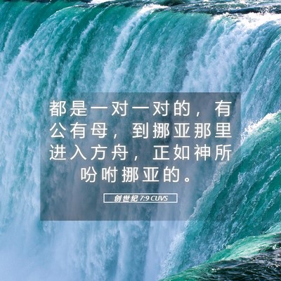 Picture 05 - 创 世 纪 7:9 CUVS - 都 是 一 对 一 对 的 ， 有 公 有 母 - Bible Verse Picture