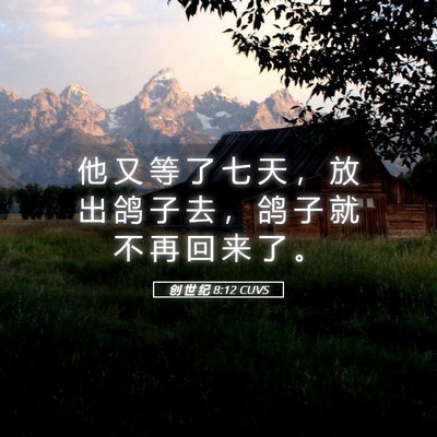 Picture 05 - 创 世 纪 8:12 CUVS - 他 又 等 了 七 天 ， 放 出 鸽 子 去 - Bible Verse Picture