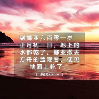 Picture 05 - 创 世 纪 8:13 CUVS - 到 挪 亚 六 百 零 一 岁 ， 正 月 初 - Bible Verse Picture