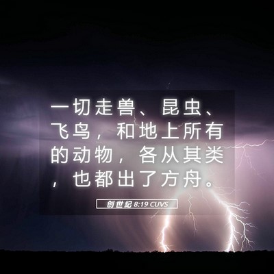Picture 05 - 创 世 纪 8:19 CUVS - 一 切 走 兽 、 昆 虫 、 飞 鸟 ， 和 - Bible Verse Picture