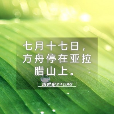 Picture 05 - 创 世 纪 8:4 CUVS - 七 月 十 七 日 ， 方 舟 停 在 亚 拉 - Bible Verse Picture