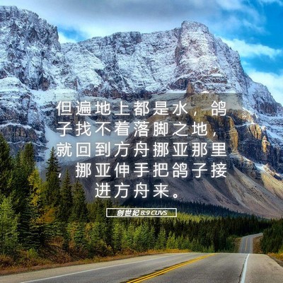 Picture 05 - 创 世 纪 8:9 CUVS - 但 遍 地 上 都 是 水 ， 鸽 子 找 不 - Bible Verse Picture