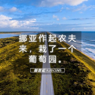 Picture 05 - 创 世 纪 9:20 CUVS - 挪 亚 作 起 农 夫 来 ， 栽 了 一 个 - Bible Verse Picture
